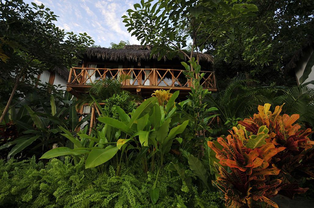 Hotelito Mio Boutique Hotel Puerto Vallarta Extérieur photo